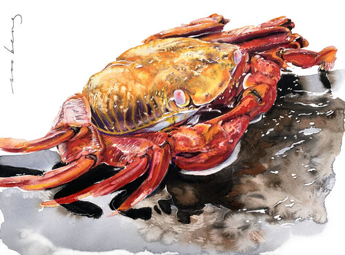 Crimson Claws van Soo Beng Lim, Tekening te koop op Singulart