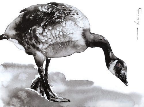 Waddling for Dinner by Soo Beng Lim, Drawing for Sale on Singulart