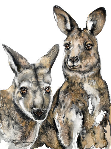 Roo Connection by Soo Beng Lim, 소묘 for Sale on Singulart