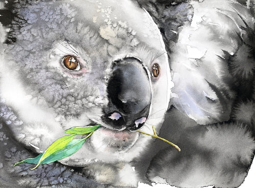 A Koala's Delight by Soo Beng Lim, Drawing for Sale on Singulart