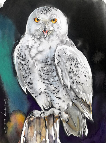 A Snowy Serenade de Soo Beng Lim, Dibujo a la venta en Singulart