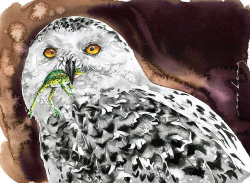 Silent Prey van Soo Beng Lim, Tekening te koop op Singulart