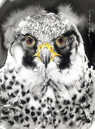 Majestic Gaze de Soo Beng Lim, Dibujo a la venta en Singulart