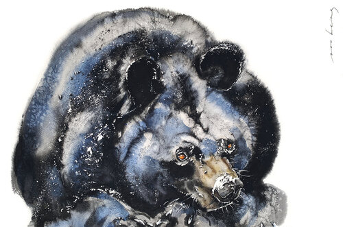 Blanket of Slumber di Soo Beng Lim, Disegno in vendita su Singulart