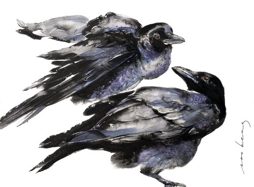 Mirrored Feathers par Soo Beng Lim, Dessin en vente sur Singulart