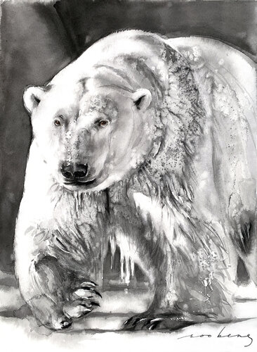 Arctic Monarch di Soo Beng Lim, Disegno in vendita su Singulart