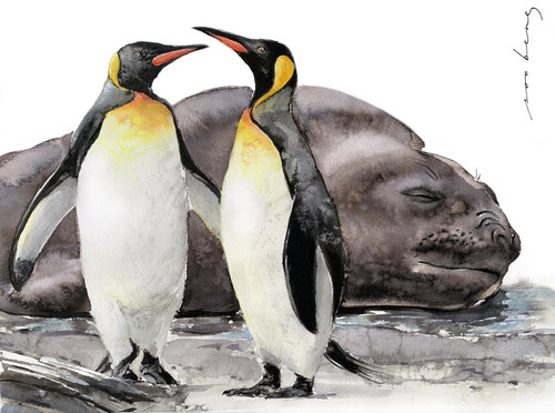 Penguin Chatter by Soo Beng Lim, Drawing for Sale on Singulart