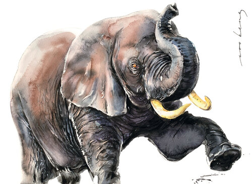 Majestic Gesture par Soo Beng Lim, Dessin en vente sur Singulart