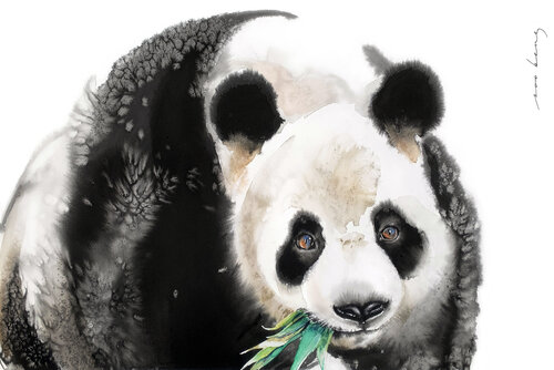 Bamboo Connoisseur de Soo Beng Lim, Dibujo a la venta en Singulart