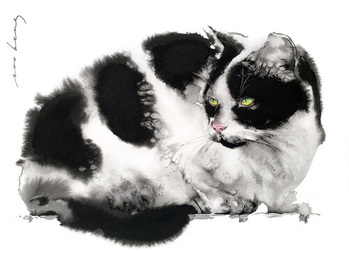 Paws and Attitude van Soo Beng Lim, Tekening te koop op Singulart