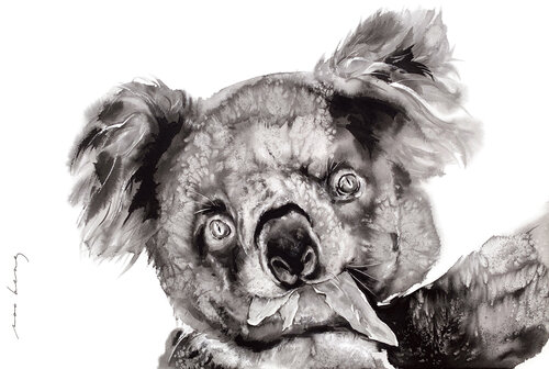 Eucalyptus Dreams di Soo Beng Lim, Disegno in vendita su Singulart
