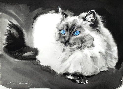 Purrfectly Poised van Soo Beng Lim, Tekening te koop op Singulart