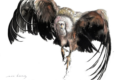 Windborne di Soo Beng Lim, Disegno in vendita su Singulart