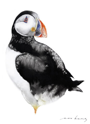 Bold Beaked Wanderer von Soo Beng Lim, Zeichnungen kaufen auf Singulart