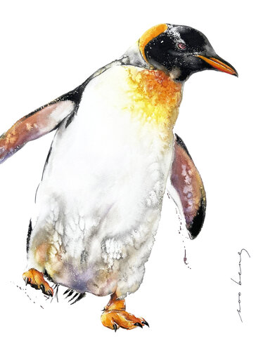 Quickflap Penquin di Soo Beng Lim, Disegno in vendita su Singulart