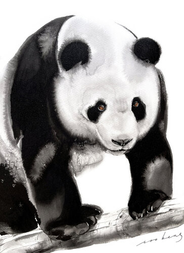 Paws and Pause van Soo Beng Lim, Tekening te koop op Singulart