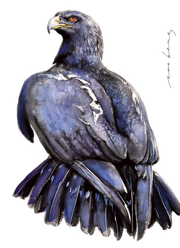 Guardian Eagle de Soo Beng Lim, Dibujo a la venta en Singulart