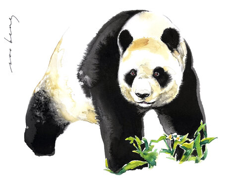 Serenity Stride par Soo Beng Lim, Dessin en vente sur Singulart