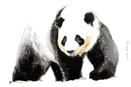 Winter Paws von Soo Beng Lim, Zeichnungen kaufen auf Singulart