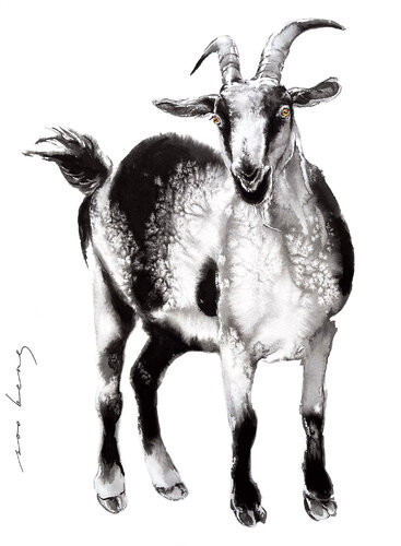 Lucky Horns van Soo Beng Lim, Tekening te koop op Singulart