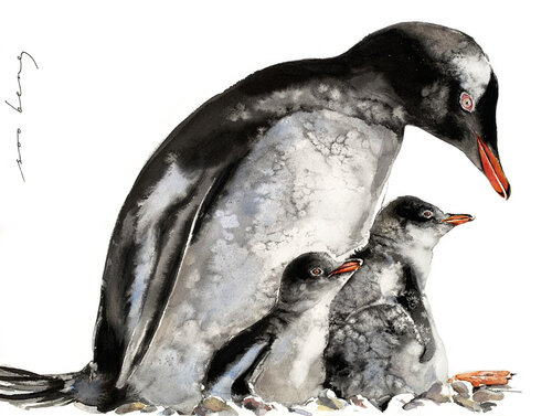 Arctic Embrace by Soo Beng Lim, Drawing for Sale on Singulart