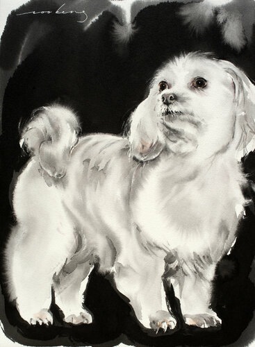 Maltese Pup von Soo Beng Lim, Zeichnungen kaufen auf Singulart