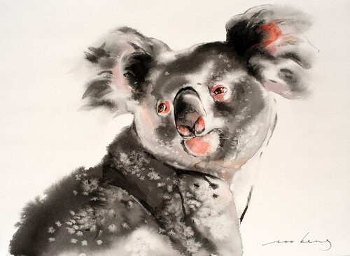 Koala Calm Soo Beng Lim