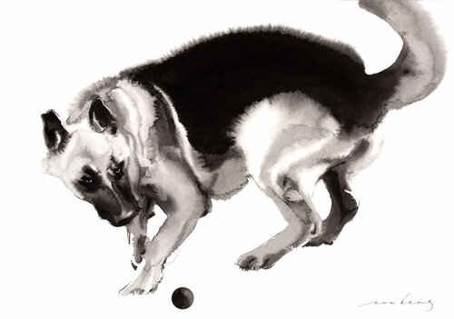 Canine Bounce von Soo Beng Lim, Zeichnungen kaufen auf Singulart