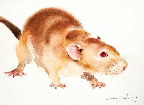 Rat Wit3 by Soo Beng Lim, Drawing for Sale on Singulart