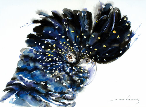 Black Cockatoo Soo Beng Lim