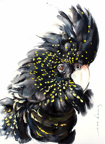 Black Cockatoo2 di Soo Beng Lim, Disegno in vendita su Singulart