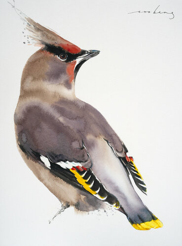 Seidenschwanz by Soo Beng Lim, 소묘 for Sale on Singulart