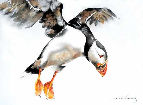 Puffin Bird (SOLD) di Soo Beng Lim, Disegno in vendita su Singulart