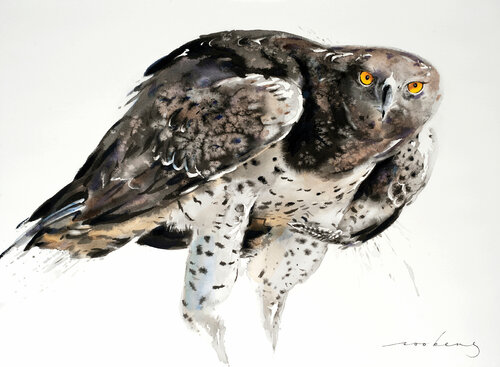 Eagle Power di Soo Beng Lim, Disegno in vendita su Singulart