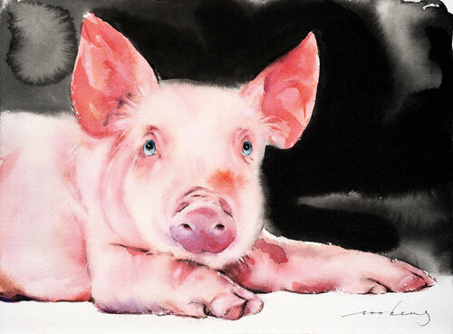 Prosperity Pig5 Soo Beng Lim