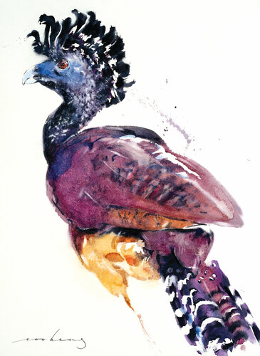 Great Curassow by Soo Beng Lim, Drawing for Sale on Singulart