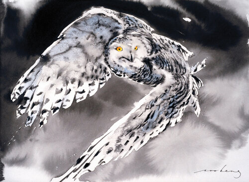 Snowy Owl2 Soo Beng Lim