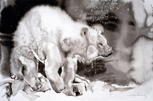 Polar Paws Soo Beng Lim