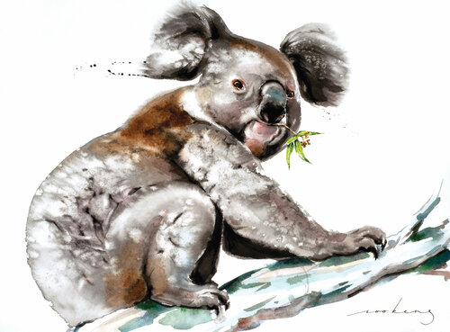 Koala Munch Soo Beng Lim