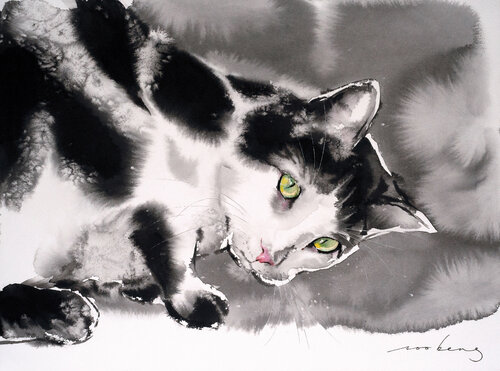 Cat Curiosity Soo Beng Lim