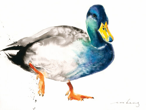 Duckie (SOLD) van Soo Beng Lim, Tekening te koop op Singulart