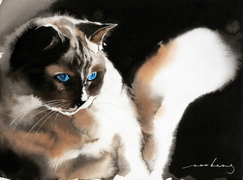 Cat of Night Soo Beng Lim