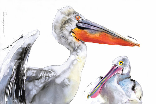 Pelican Duo di Soo Beng Lim, Disegno in vendita su Singulart