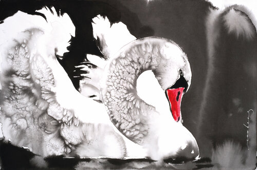 Swan Elegance par Soo Beng Lim, Dessin en vente sur Singulart