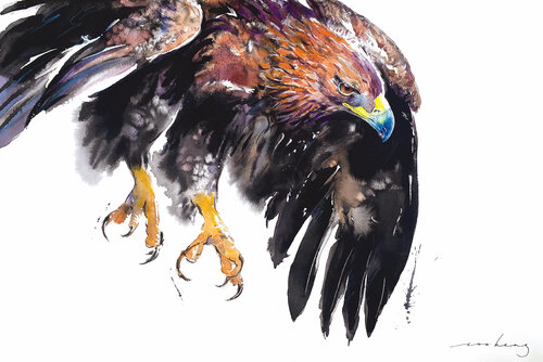 On Eagle Wings2 (SOLD) par Soo Beng Lim, Dessin en vente sur Singulart