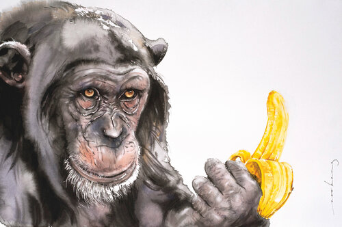 Banana Anyone? Soo Beng Lim