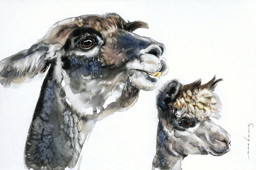 The Llamas by Soo Beng Lim, Drawing for Sale on Singulart