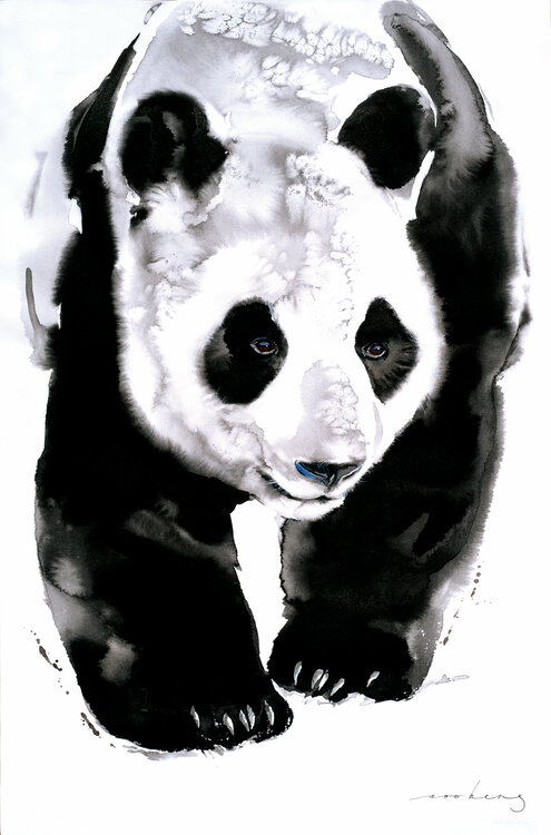 Panda Trail Soo Beng Lim
