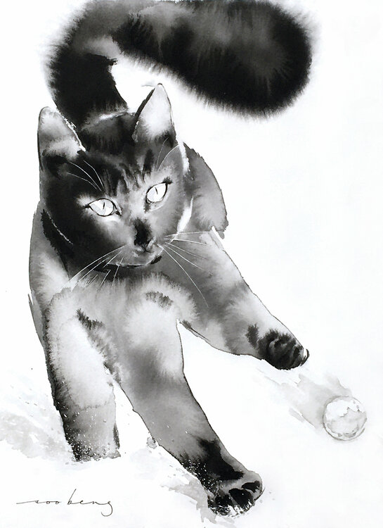 Snow Catch Soo Beng Lim