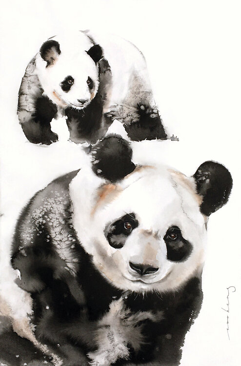 Panda Pair Soo Beng Lim